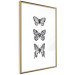 Poster Three Different Butterflies - simple black and white composition with winged insects 116942 additionalThumb 8