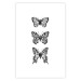 Poster Three Different Butterflies - simple black and white composition with winged insects 116942 additionalThumb 24