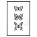 Poster Three Different Butterflies - simple black and white composition with winged insects 116942 additionalThumb 18