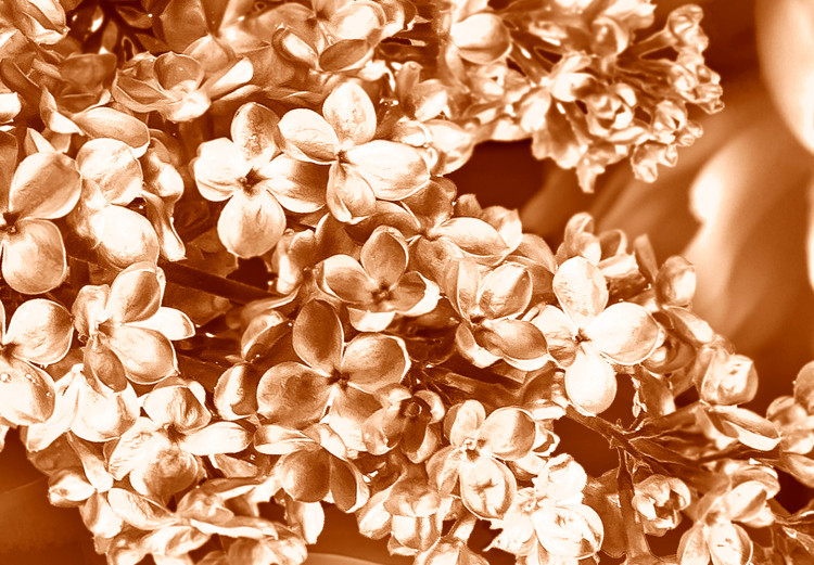 Canvas Art Print Autumn flowers in sepia - monochrome photo with a bouquet of flowers 123842 additionalImage 5