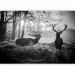 Photo Wallpaper Deers in the Morning 126942 additionalThumb 5