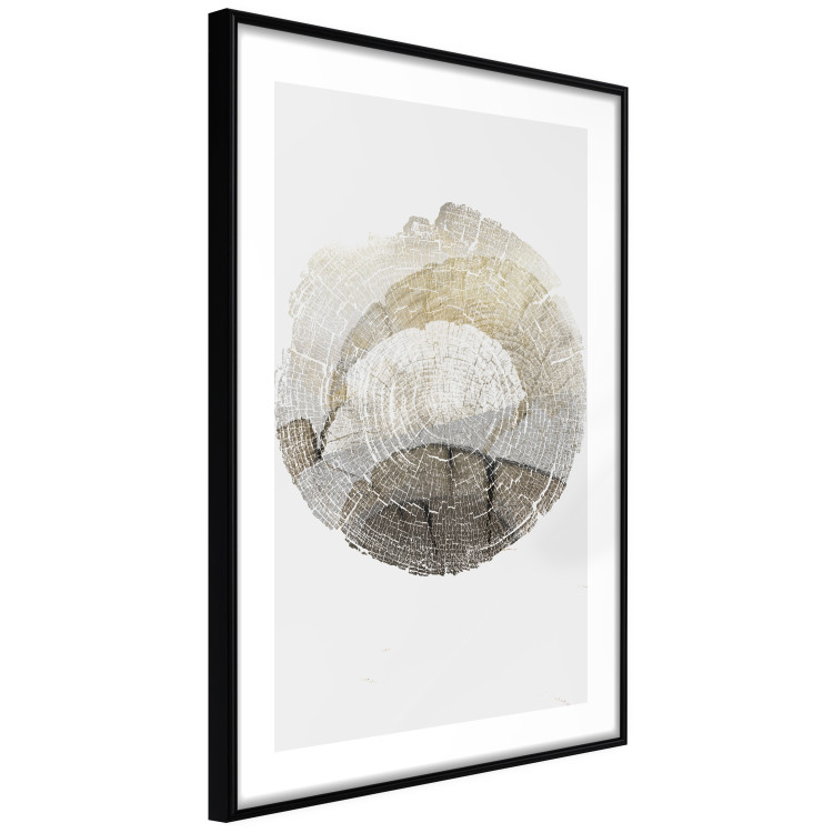 Poster Trace - light composition with the texture of a tree cross-section on a white background 127342 additionalImage 8