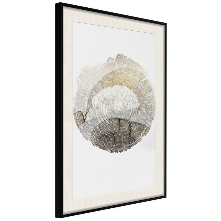 Poster Trace - light composition with the texture of a tree cross-section on a white background 127342 additionalImage 2