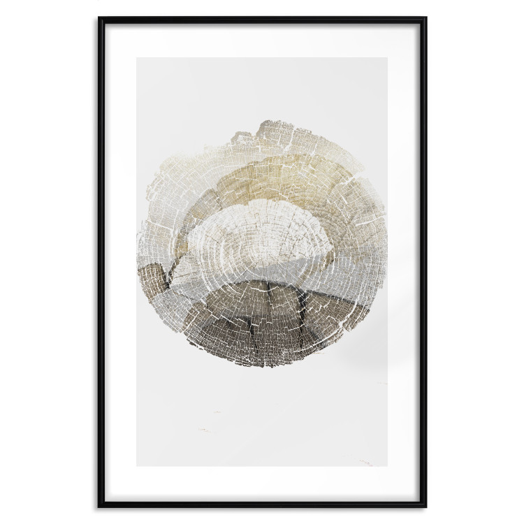 Poster Trace - light composition with the texture of a tree cross-section on a white background 127342 additionalImage 17