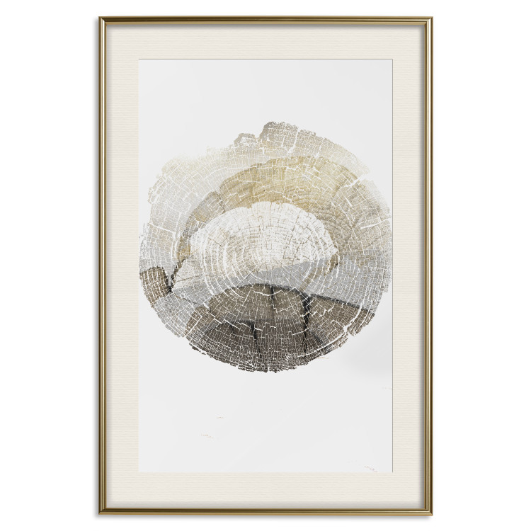 Poster Trace - light composition with the texture of a tree cross-section on a white background 127342 additionalImage 20