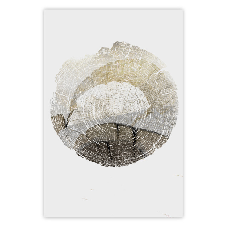 Poster Trace - light composition with the texture of a tree cross-section on a white background 127342