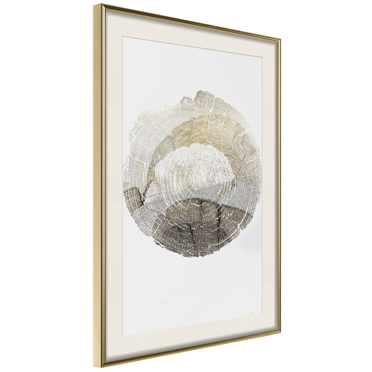 Poster Trace - light composition with the texture of a tree cross-section on a white background 127342 additionalImage 3