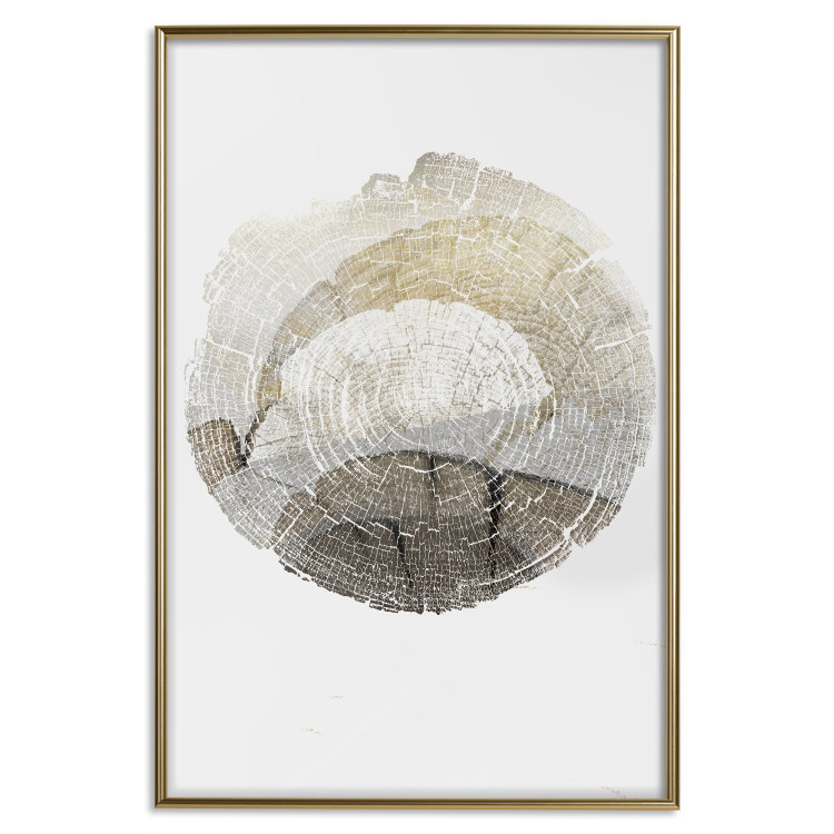 Poster Trace - light composition with the texture of a tree cross-section on a white background 127342 additionalImage 21