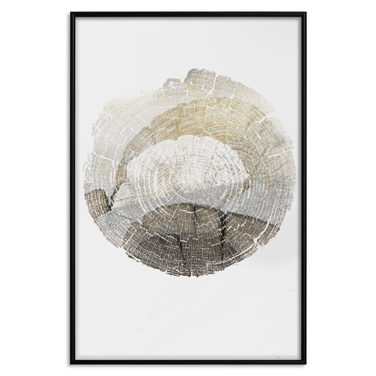 Poster Trace - light composition with the texture of a tree cross-section on a white background 127342 additionalImage 16