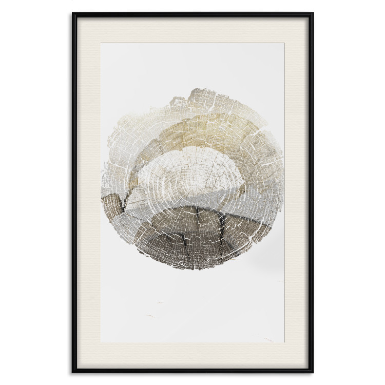 Poster Trace - light composition with the texture of a tree cross-section on a white background 127342 additionalImage 19