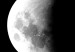 Canvas Phases of the Moon (4-part) - landscape of the white moon against the backdrop of space 128942 additionalThumb 4