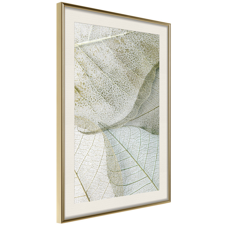 Poster Foliage Configuration - leafy composition with distinct texture 130442 additionalImage 3