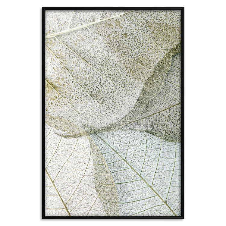 Poster Foliage Configuration - leafy composition with distinct texture 130442 additionalImage 20