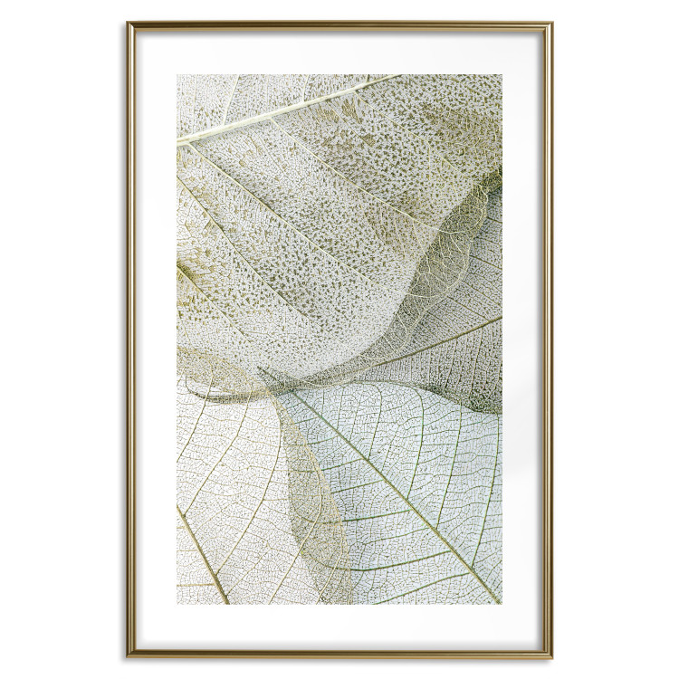 Poster Foliage Configuration - leafy composition with distinct texture 130442 additionalImage 17