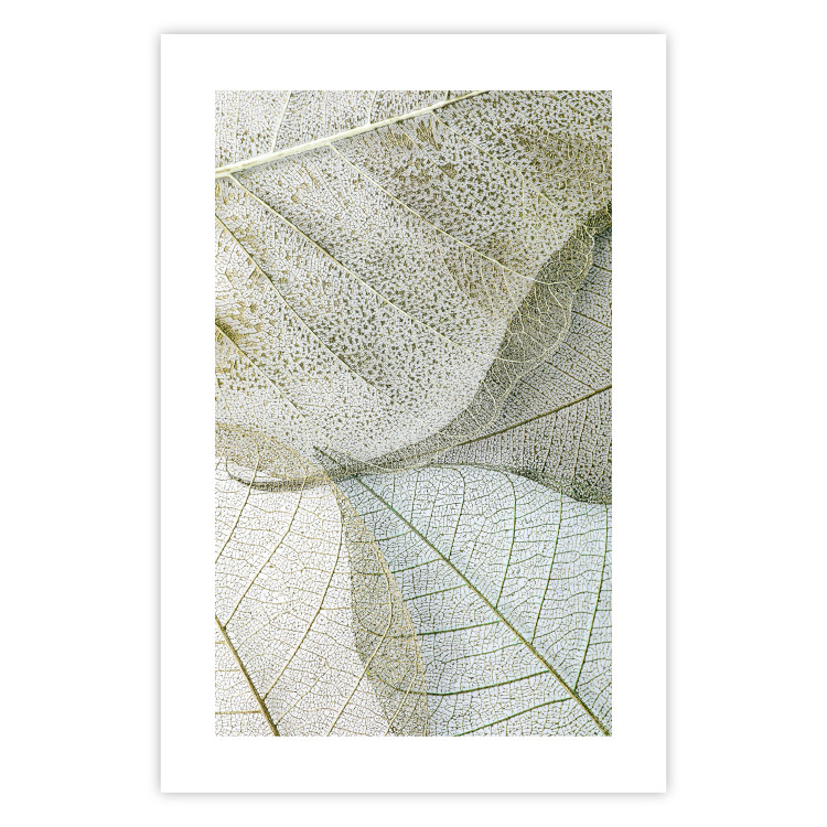 Poster Foliage Configuration - leafy composition with distinct texture 130442 additionalImage 24