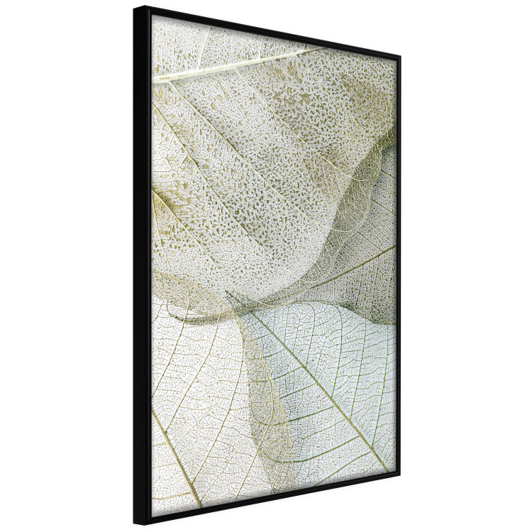 Poster Foliage Configuration - leafy composition with distinct texture 130442 additionalImage 13