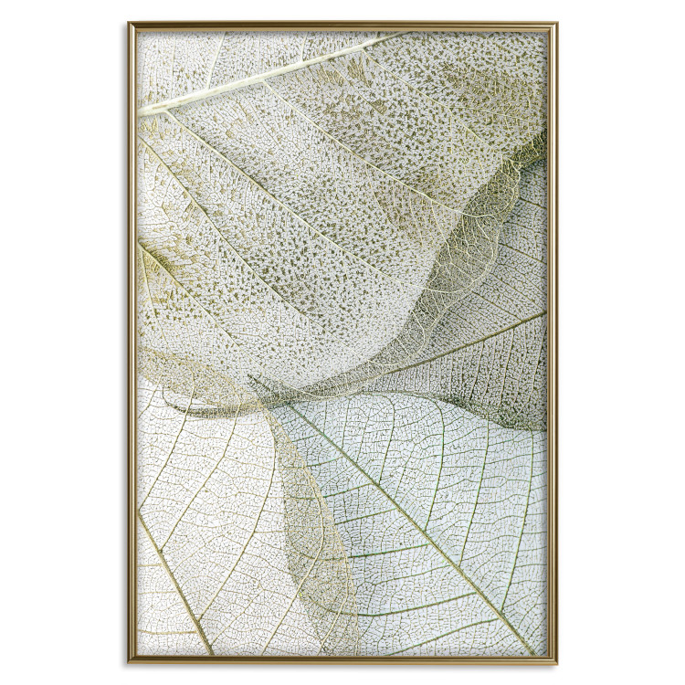 Poster Foliage Configuration - leafy composition with distinct texture 130442 additionalImage 19