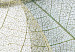 Poster Foliage Configuration - leafy composition with distinct texture 130442 additionalThumb 9