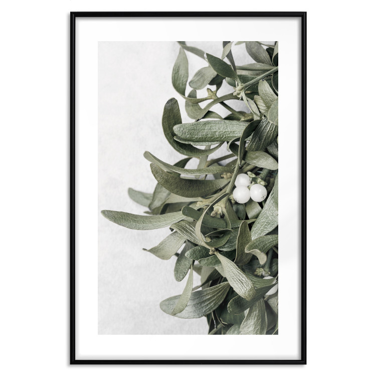 Wall Poster Happy Kiss - leafy plant with flowers on a gray background 130742 additionalImage 17