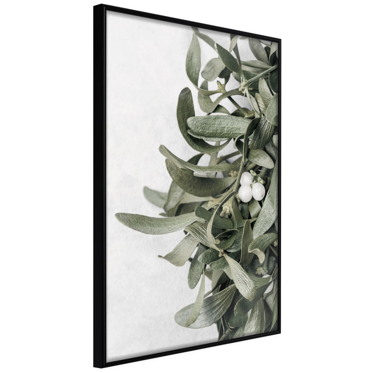 Picture wall Winter plant 132340 additionalImage 3