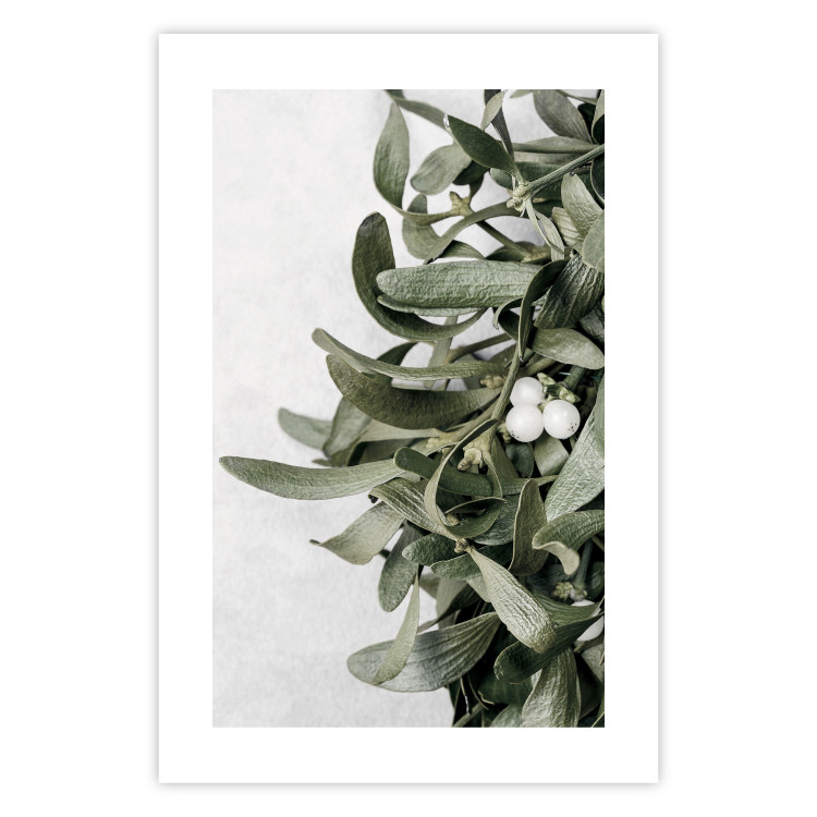 Wall Poster Happy Kiss - leafy plant with flowers on a gray background 130742 additionalImage 19