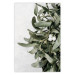 Wall Poster Happy Kiss - leafy plant with flowers on a gray background 130742