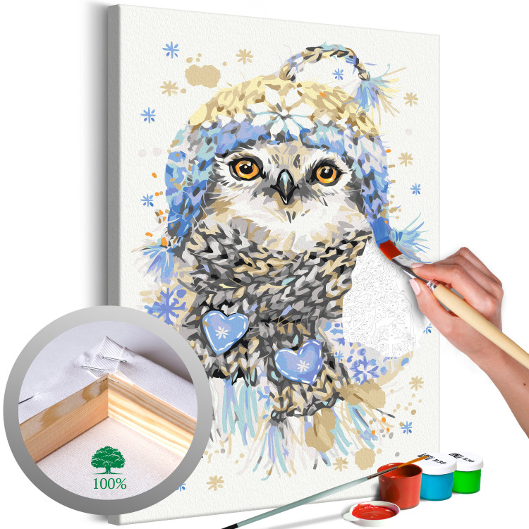 Paint by Number Kit Cold Owl 131442