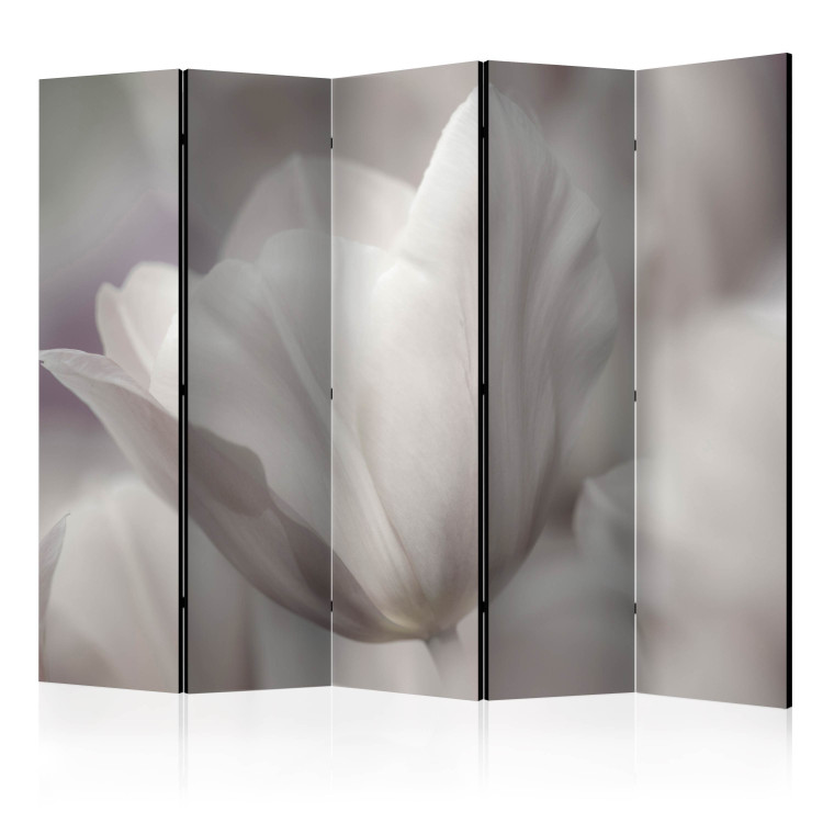 Folding Screen Tulip - Black and White Photo II - tulip flower in faded colors 134042
