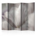 Folding Screen Tulip - Black and White Photo II - tulip flower in faded colors 134042