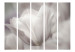 Folding Screen Tulip - Black and White Photo II - tulip flower in faded colors 134042 additionalThumb 3