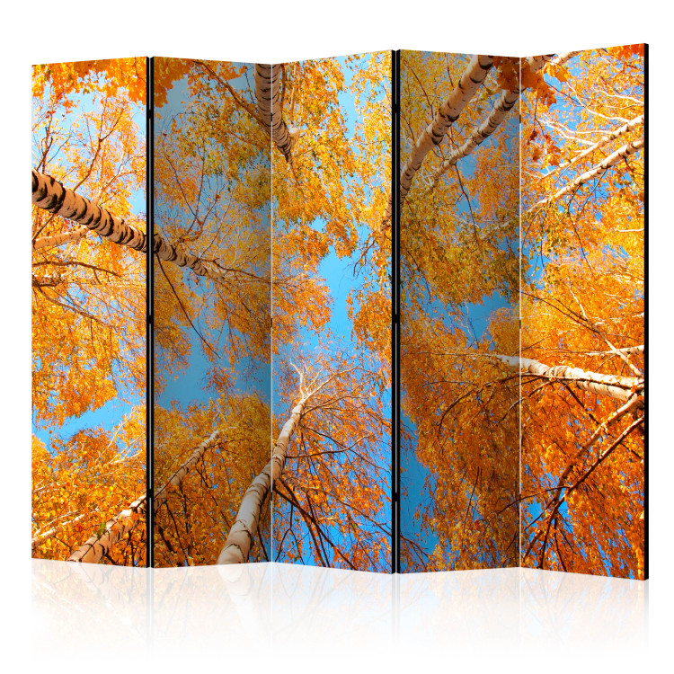 Room Divider Screen Autumn Tree Crowns II (5-piece) - orange leaves and sky 134142