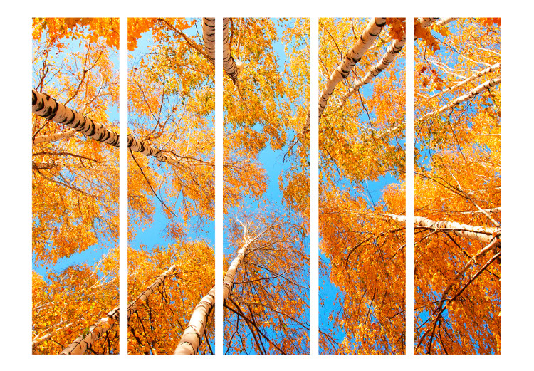 Room Divider Screen Autumn Tree Crowns II (5-piece) - orange leaves and sky 134142 additionalImage 3