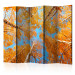 Room Divider Screen Autumn Tree Crowns II (5-piece) - orange leaves and sky 134142