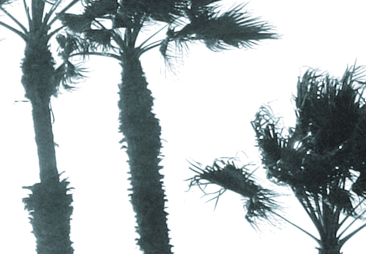 Poster Palms in the Wind - beach landscape with large palms on a light background 137842 additionalImage 5