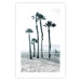 Poster Palms in the Wind - beach landscape with large palms on a light background 137842 additionalThumb 9