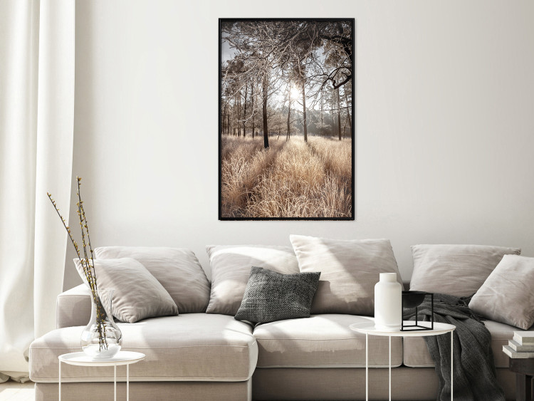Poster Straight into Love - landscape of a forest and trees against a rising sun 138042 additionalImage 13