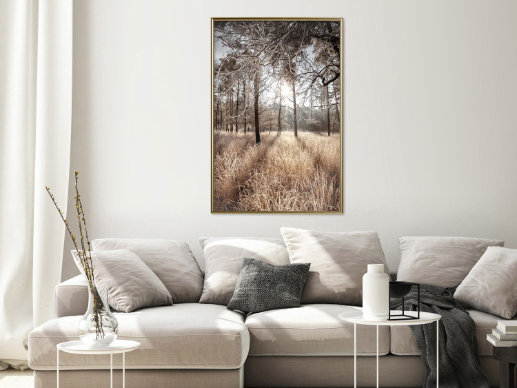 Poster Straight into Love - landscape of a forest and trees against a rising sun 138042 additionalImage 12