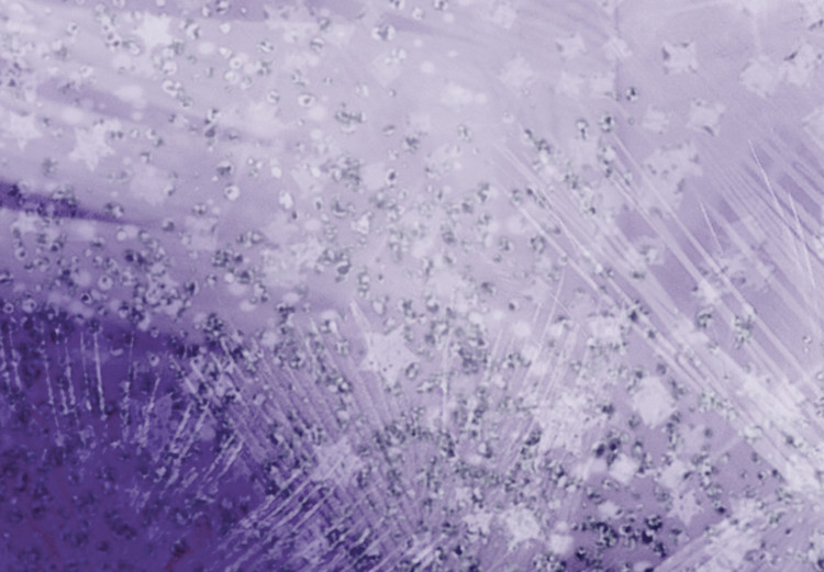 Canvas Feathers (1-piece) Wide - second variant - abstraction in purple 138242 additionalImage 4