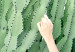 Poster Relax - Green Cactuses and a Young Woman in a Pink Blouse 144342 additionalThumb 2