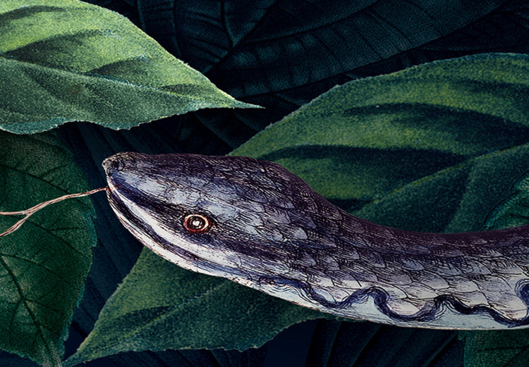 Canvas Snake in the Leaves - Wild Fauna and Flora of the Dark Jungle 149842 additionalImage 5