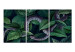 Canvas Snake in the Leaves - Wild Fauna and Flora of the Dark Jungle 149842