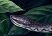 Canvas Snake in the Leaves - Wild Fauna and Flora of the Dark Jungle 149842 additionalThumb 5