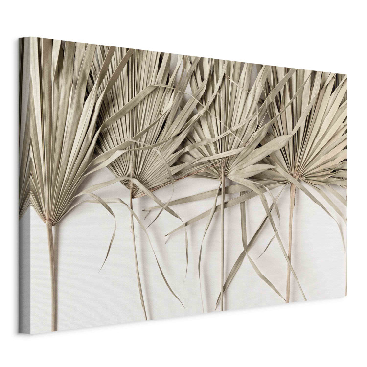 Large canvas print Boho palm - composition with dried palm leaves on a light background [Large Format] 151242 additionalImage 2
