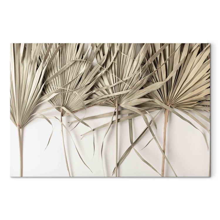 Large canvas print Boho palm - composition with dried palm leaves on a light background [Large Format] 151242