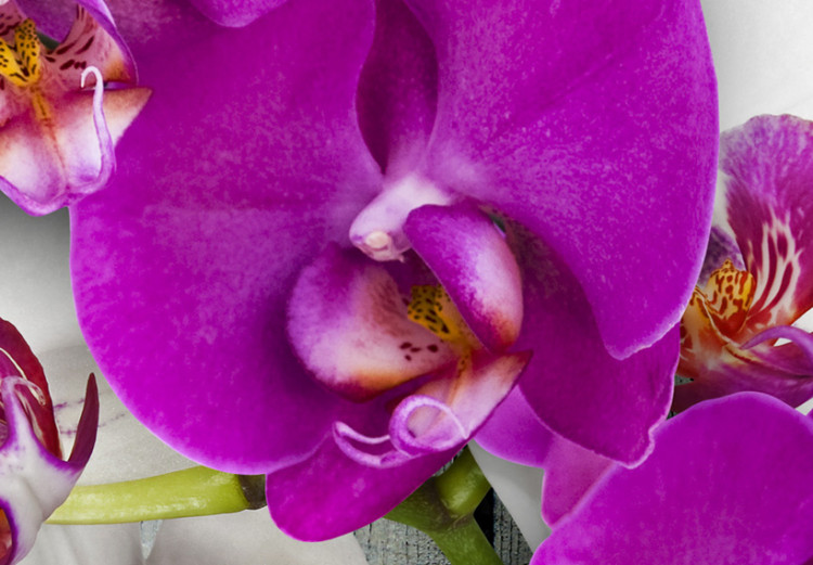 Canvas Print Harmony: orchid 58642 additionalImage 5