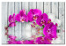 Canvas Print Harmony: orchid 58642