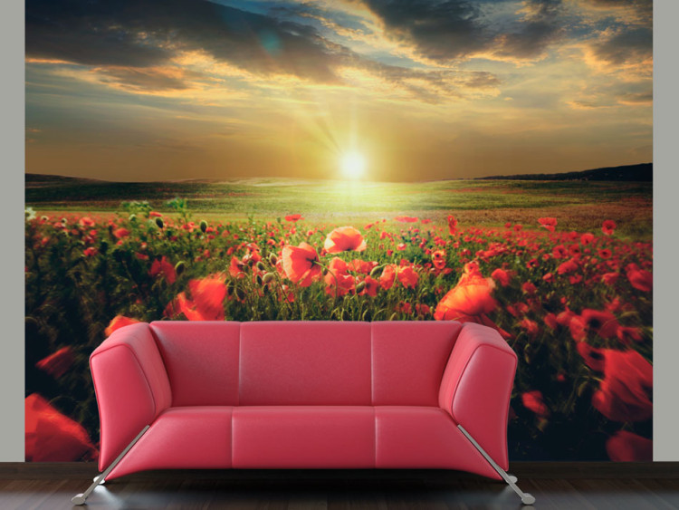 Photo Wallpaper Poppy Field - Morning and Floral Motif in the Form of a Meadow in the Morning Sun 60642