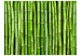 Wall Mural Bamboo wall 61442 additionalThumb 1