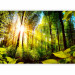 Photo Wallpaper Forest Hideout 98142 additionalThumb 5