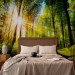 Photo Wallpaper Forest Hideout 98142 additionalThumb 2